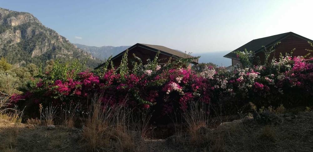 Kabak Armes Hotel Faralya Zewnętrze zdjęcie