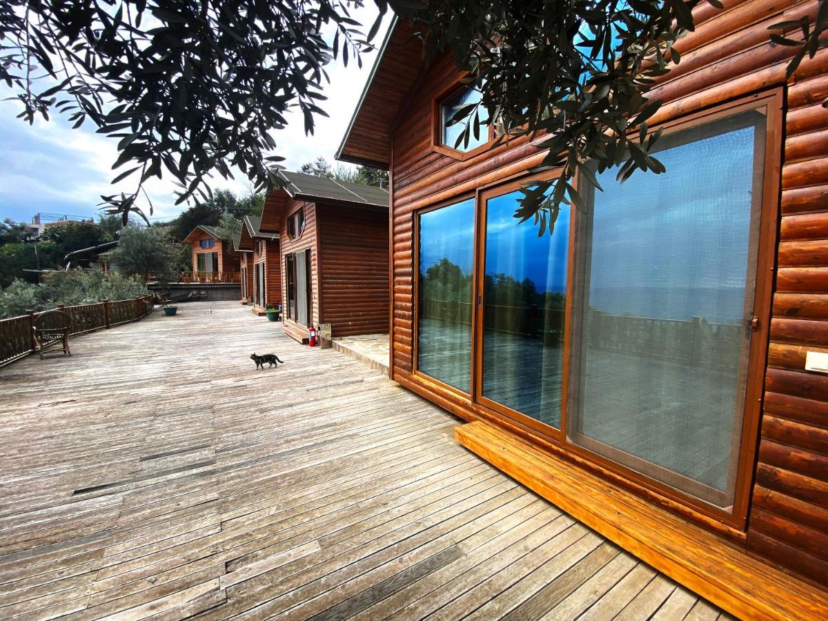 Kabak Armes Hotel Faralya Zewnętrze zdjęcie
