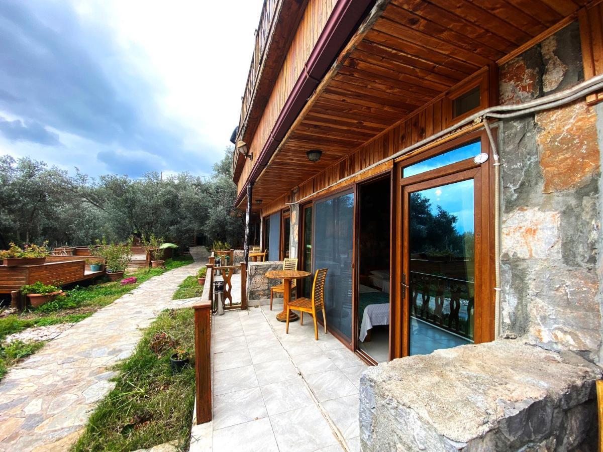 Kabak Armes Hotel Faralya Zewnętrze zdjęcie