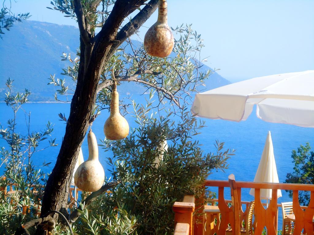 Kabak Armes Hotel Faralya Zewnętrze zdjęcie
